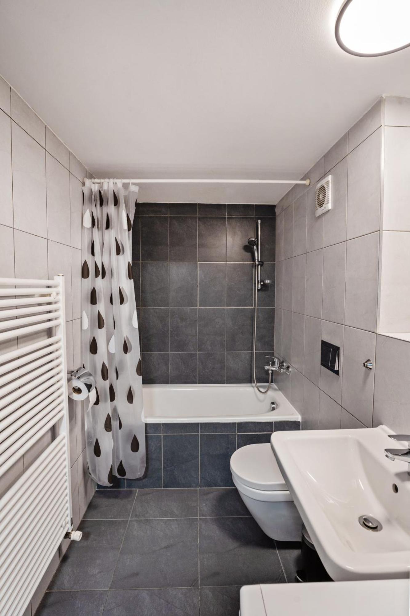 Apartmán Loft Spacious In Praha